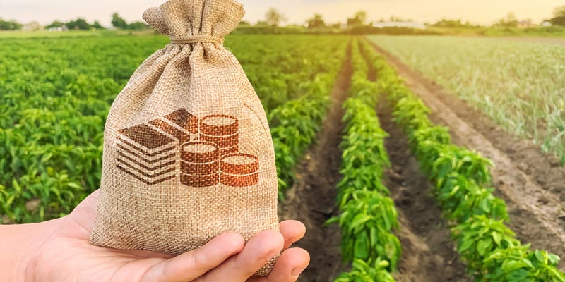 Малий та середній аграрний бізнес України отримає доступ до кредитування –  Дніпропетровське Інвестиційне агенство