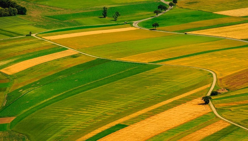 Подальші кроки на ринку землі: чого очікувати аграріям?