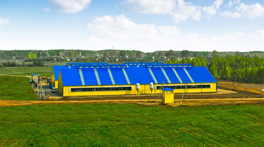 Держава компенсуватиме до 50% вартості будівництва тваринницьких ферм у прифронтових регіонах