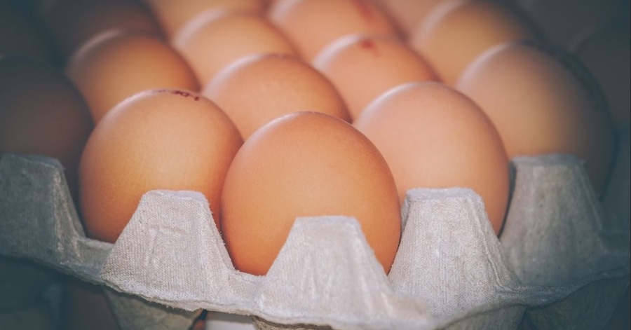 Україна &mdash; лідер серед постачальників яєць до Польщі