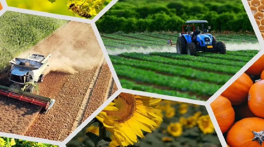 Агровиробництво України у 2025 році: результати сезону