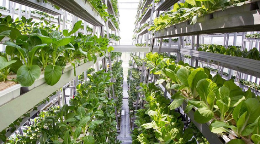 Грант для розвитку органічного виробництва