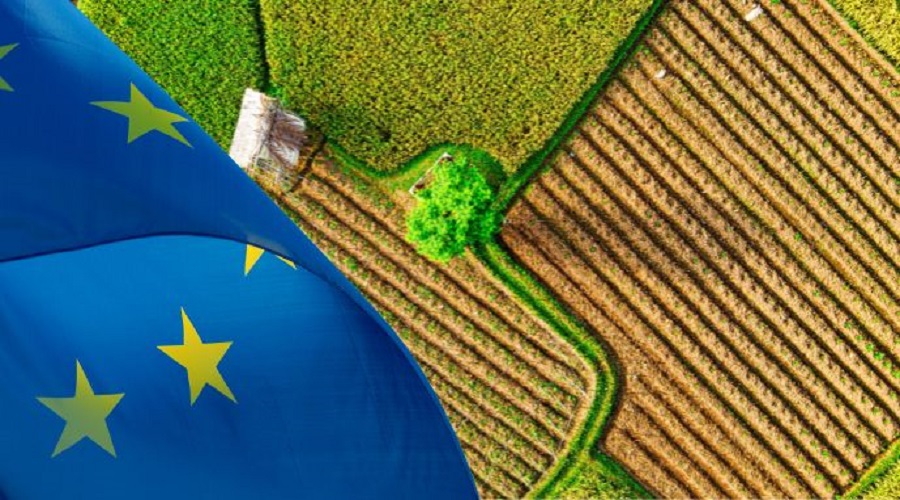 Україна запускає національну координацію впровадження європейського підходу LEADER