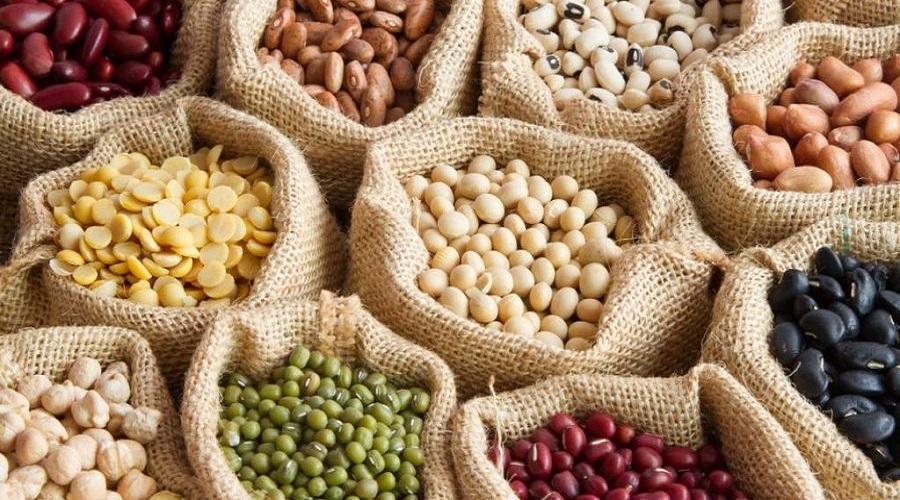 Відкрито набір для громад на отримання насіннєвого матеріалу