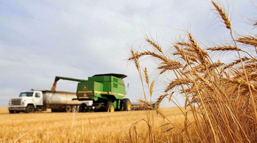 Євросоюз надасть 12 млн євро на підтримку реформ у сільському господарстві України