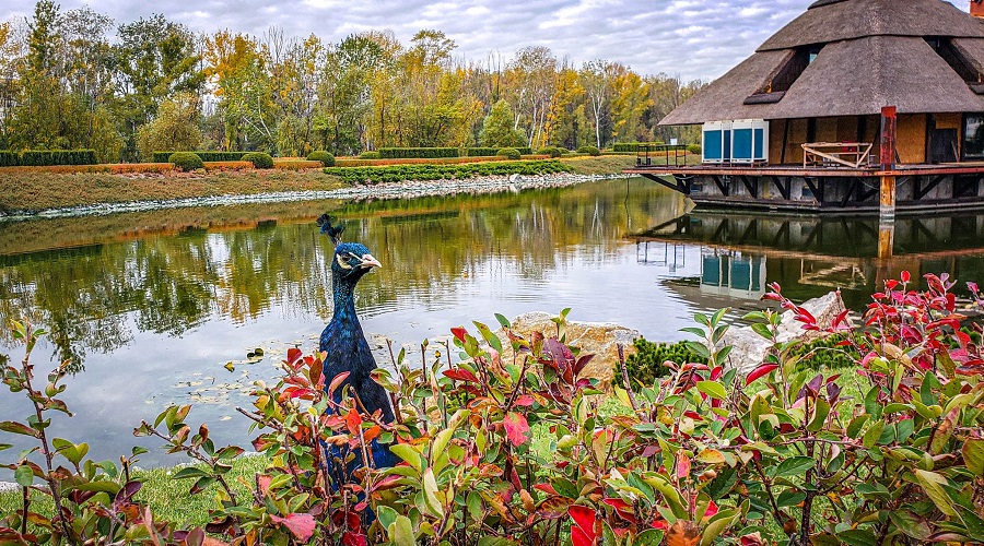 Індустрія відпочинку Дніпропетровщини: оновлені проєкти DIA