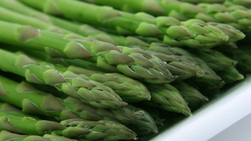 Програма фінансової підтримки агровиробників для вирощування нішевих культур у Дніпропетровській області