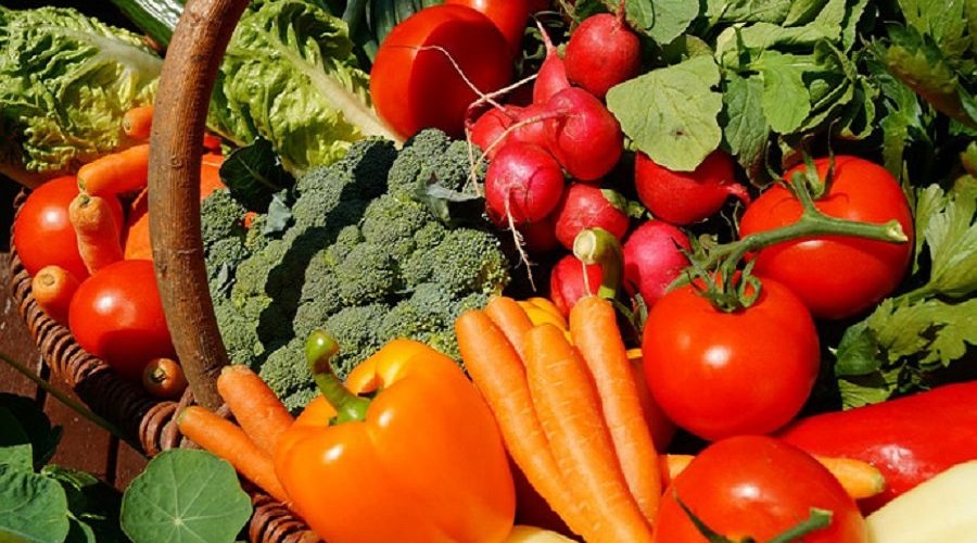 Україна посилює агроекспорт до Південно-Східної Азії