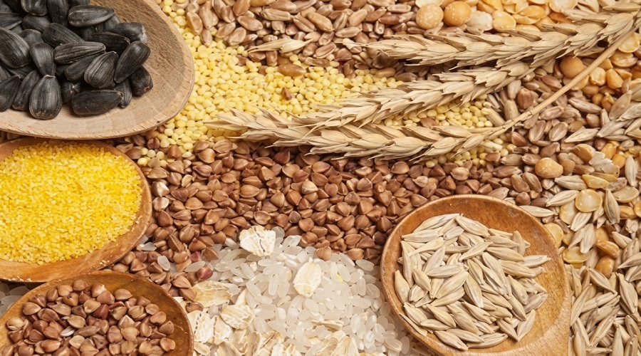 З початку вересня Україна експортувала 1,6 млн тонн агропродукції