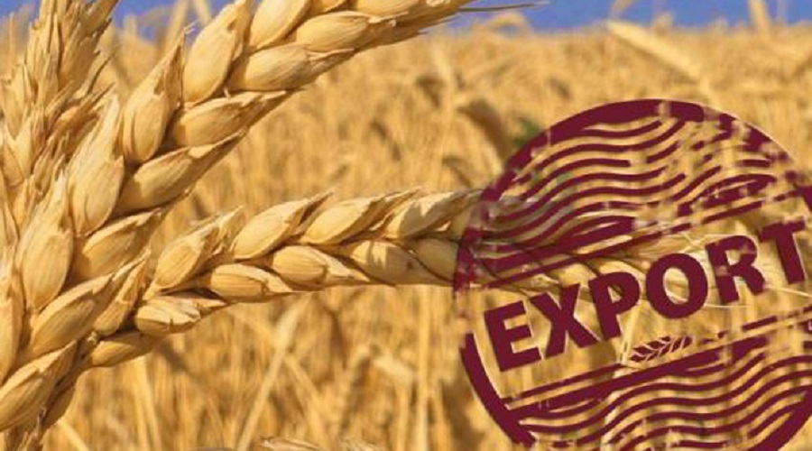 Експорт українського зерна у 2026/27МР перевищив 4 млн тонн