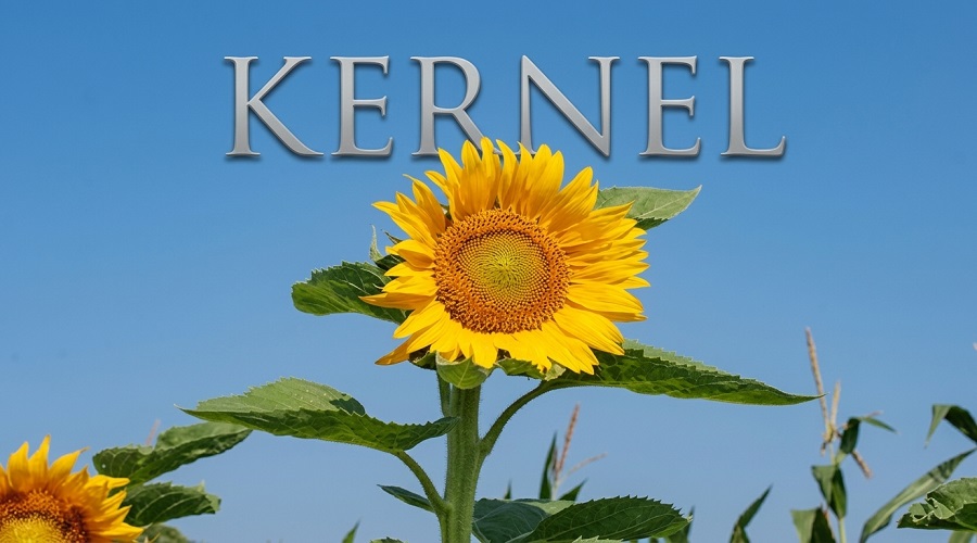 Kernel спрямував $40 млн на відновлення пошкодженої війною інфраструктури