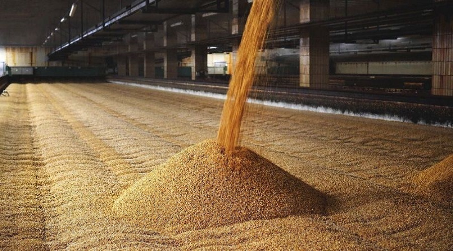 Запаси зернових в Україні за рік зросли більш ніж на 10 млн тонн